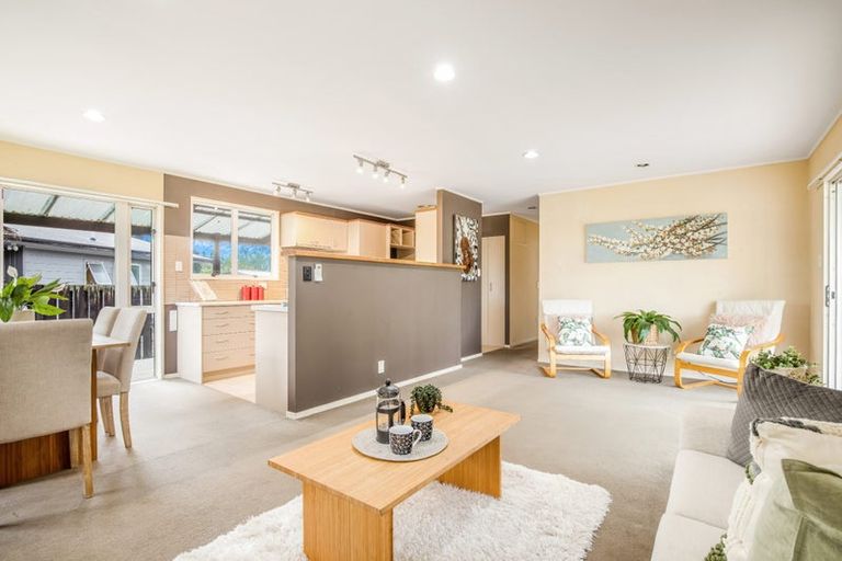 Photo of property in 95 Peacockes Road, Fitzroy, Hamilton, 3206