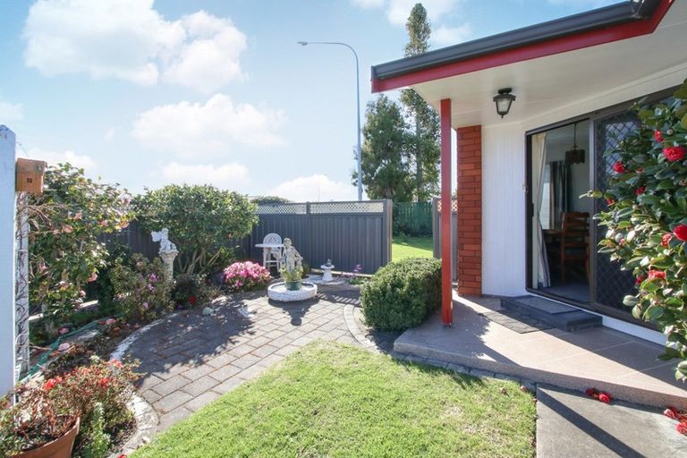Photo of property in 133a Avondale Road, Greenmeadows, Napier, 4112