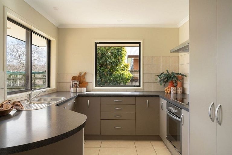 Photo of property in 79 Solomon Street, Brookfield, Tauranga, 3110