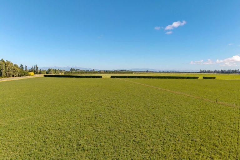 Photo of property in 638 Telegraph Road, Charing Cross, 7671