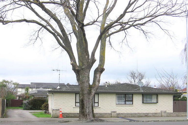 Photo of property in 2/442 Church Street, Palmerston North, 4410