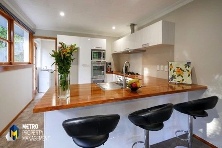 Photo of property in 44 Larnach Road, Waverley, Dunedin, 9013