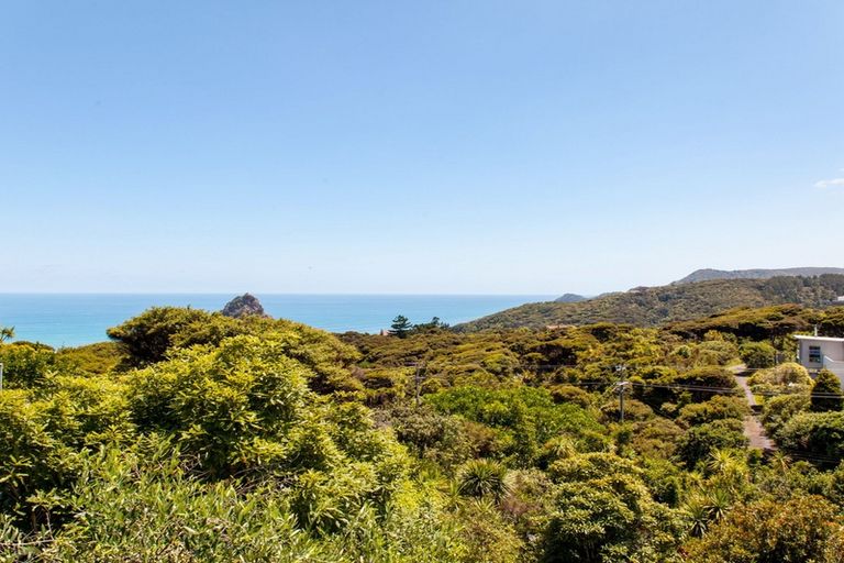 Photo of property in 119 Seaview Road, Piha, New Lynn, 0772