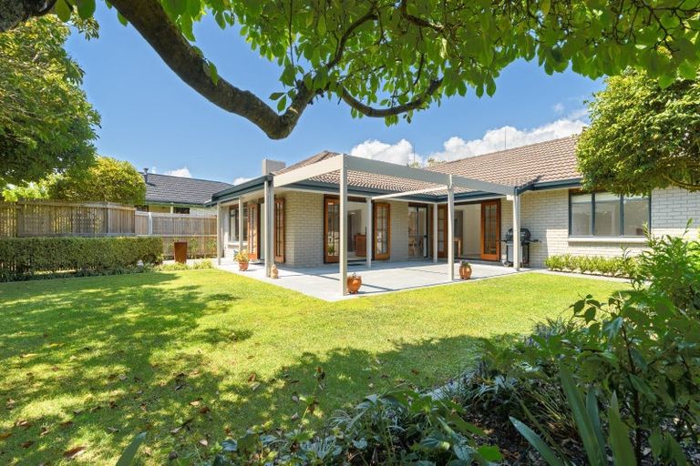 Photo of property in 55 Kings Avenue, Matua, Tauranga, 3110