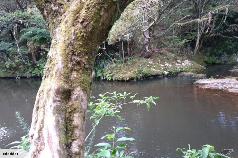 Photo of property in 1877 Matapouri Road, Matapouri, Whangarei, 0173