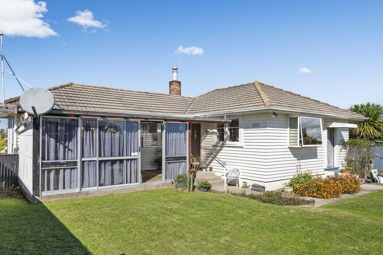 Photo of property in 50 Neal Street, Putaruru, 3411