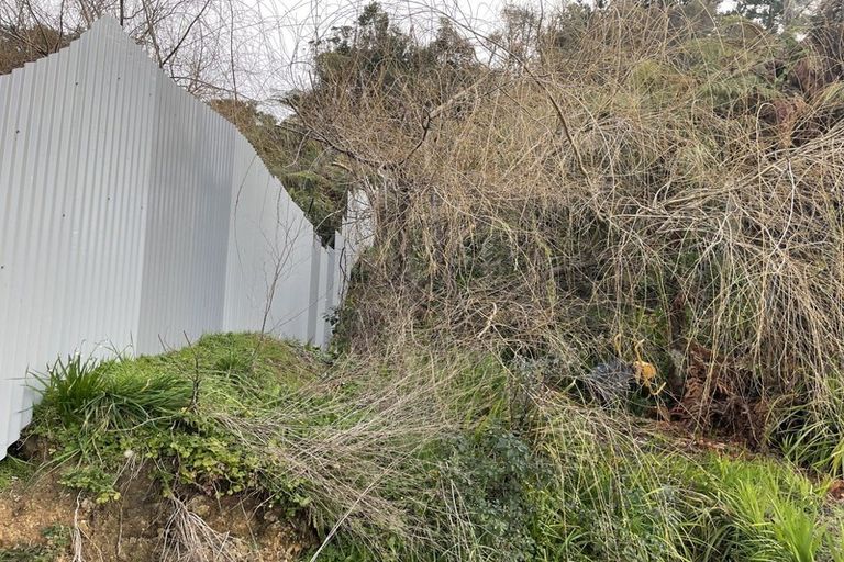 Photo of property in 141 Renown Road, Waikokowai, Huntly, 3771