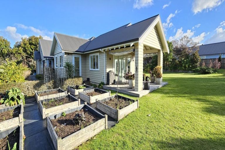 Photo of property in 51 Bradley Avenue, Pyes Pa, Tauranga, 3112