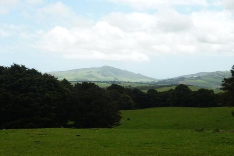 Photo of property in 102 Mangatu Road, Donnellys Crossing, Dargaville, 0376