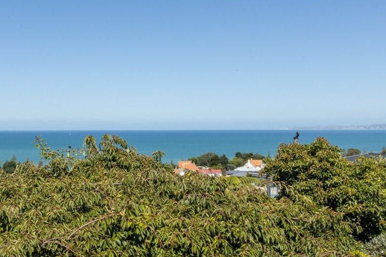 Photo of property in 2 Sealy Road, Bluff Hill, Napier, 4110