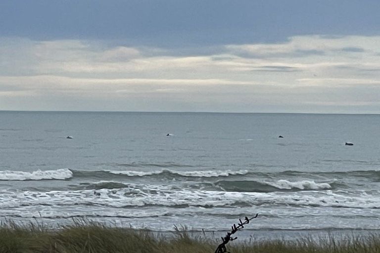 Photo of property in 209a Rocking Horse Road, Southshore, Christchurch, 8062