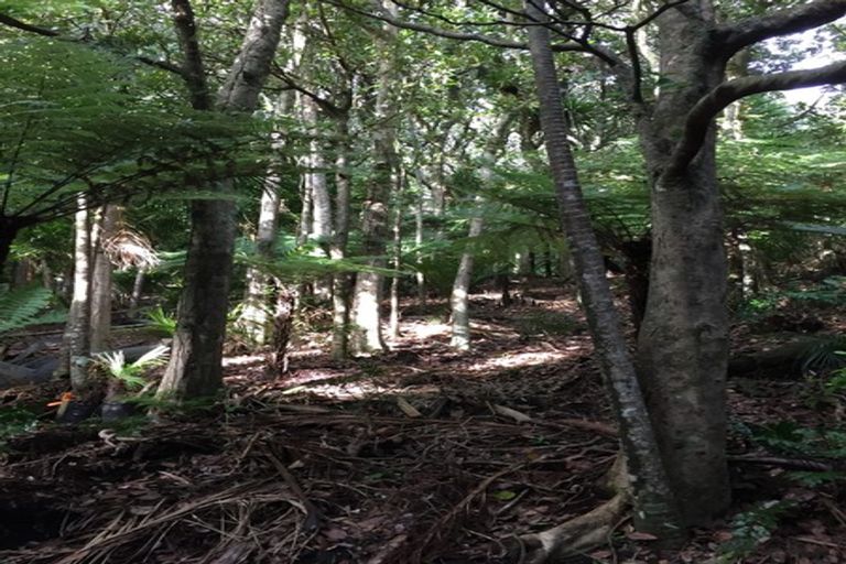 Photo of property in 16 Waikarekare Lane, Karekare, Auckland, 0772