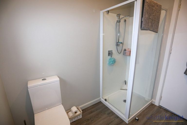 Photo of property in 119 Caledonian Road, St Albans, Christchurch, 8014