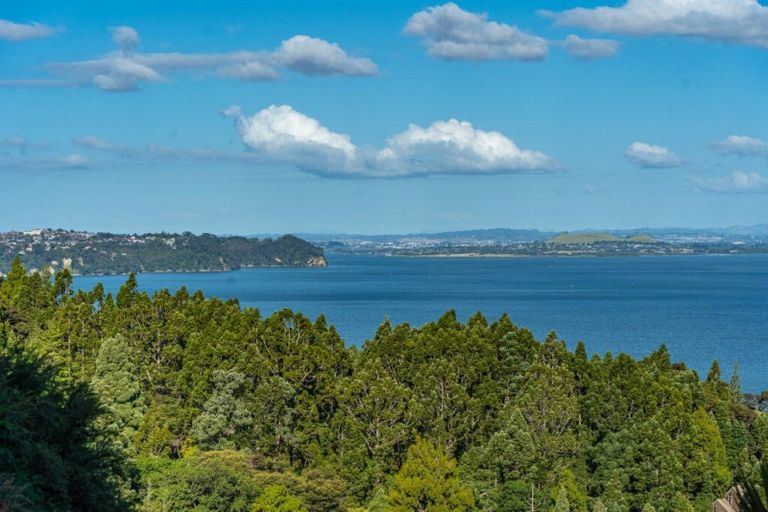 Photo of property in 40 Otitori Bay Road, Titirangi, Auckland, 0604