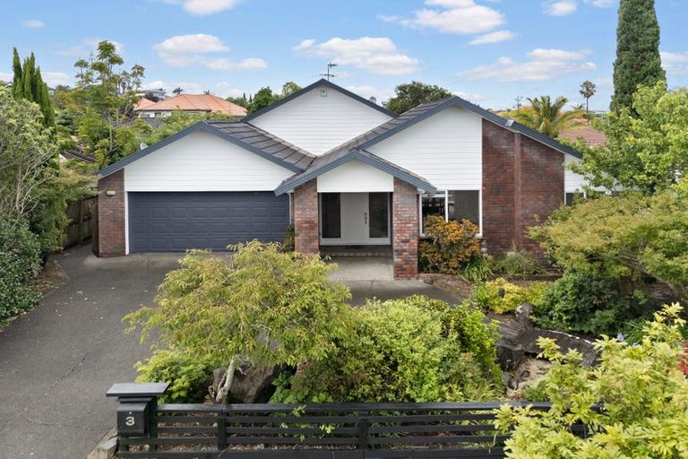 Photo of property in 3 Bronte Place, Somerville, Auckland, 2014