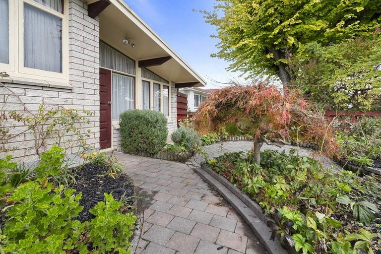 Photo of property in 8 Henare Street, West End, Palmerston North, 4412
