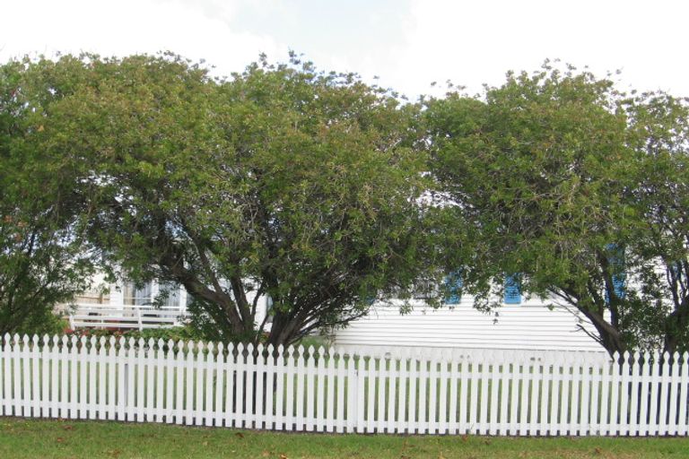 Photo of property in 81 Harrington Road, Henderson, Auckland, 0610