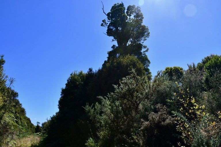 Photo of property in 37 South Terrace Road, Karamea, 7893