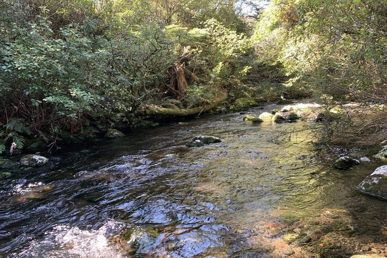 Photo of property in 134 Matapuna Road, Horopito, Raetihi, 4696