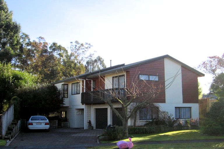 Photo of property in 51 Pelorus Street, Glenview, Hamilton, 3206