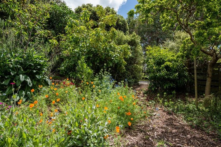 Photo of property in 13b Tieko Street, Otaihanga, Paraparaumu, 5036