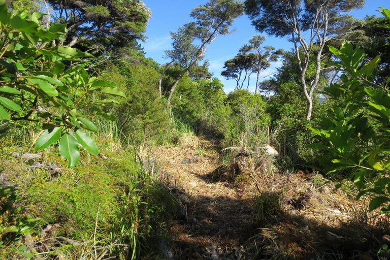 Photo of property in 614 Wyuna Bay Road, Wyuna Bay, Coromandel, 3581