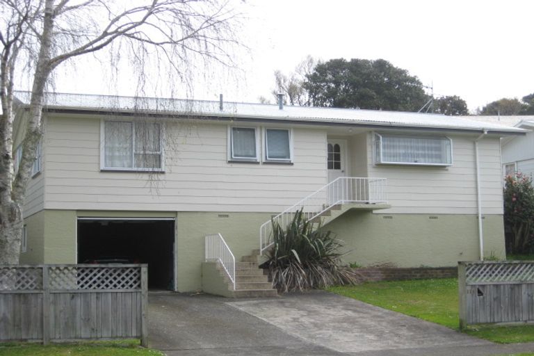 Photo of property in 114 Pembroke Street, Westown, New Plymouth, 4310
