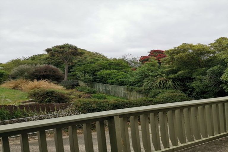 Photo of property in 191 Evans Street, Opoho, Dunedin, 9010