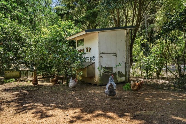 Photo of property in 55 Lauries Drive, Kauri, Kamo, 0185