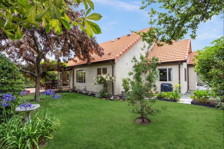 Photo of property in 1/225 Te Mata Road, Havelock North, 4130