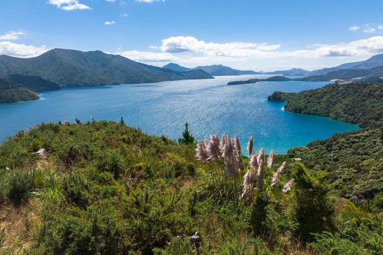 Photo of property in Elie Bay Road, Crail Bay, Marlborough Sounds, 7282