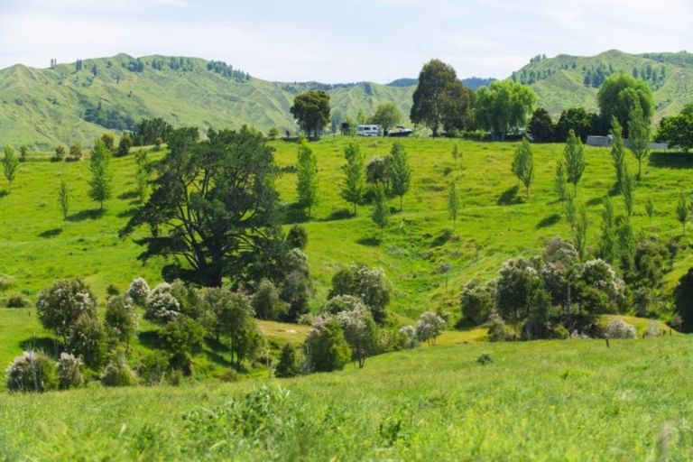 Photo of property in 809 Awamate Road, Frasertown, Wairoa, 4193