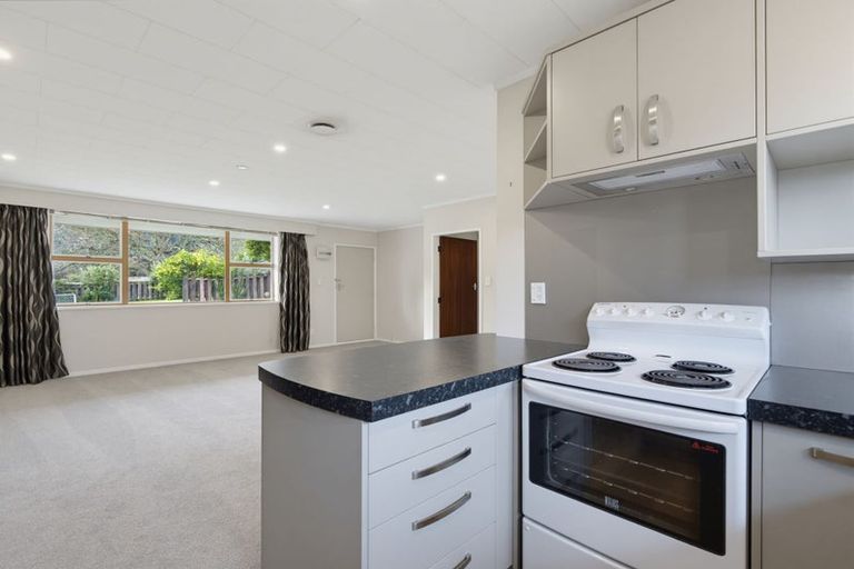 Photo of property in 48a Domain Road, Whakatane, 3120