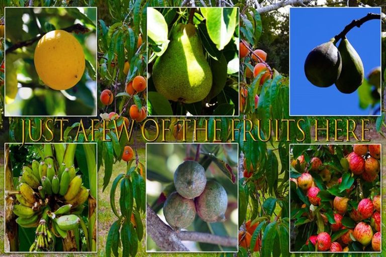 Photo of property in 734 Okahukura Road, Tapora, Wellsford, 0977