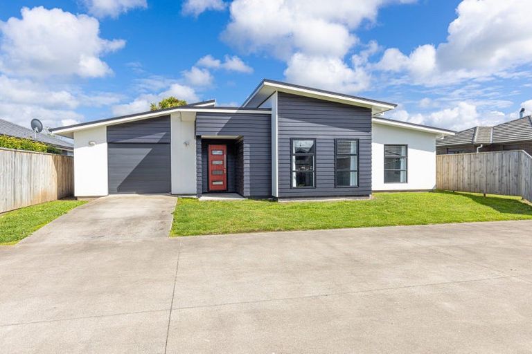 Photo of property in 24 Buckingham Place, Springvale, Whanganui, 4501