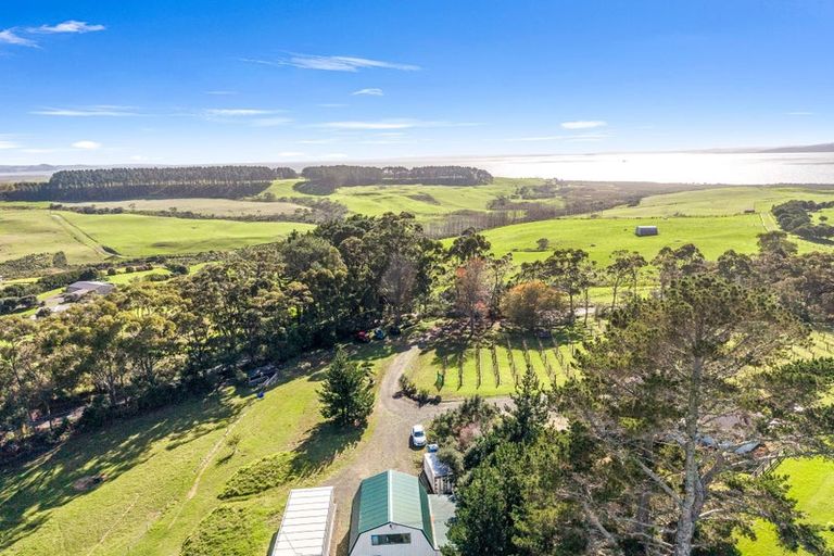 Photo of property in 151 Shelly Beach Road, South Head, Helensville, 0874