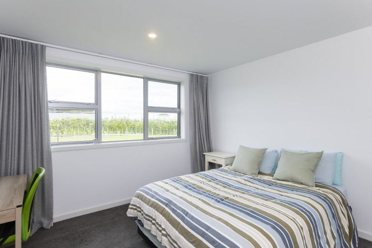 Photo of property in 547 Nelson Road, Lytton West, Gisborne, 4071