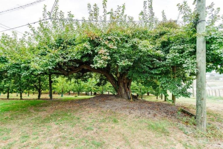 Photo of property in 200 Longlands Road, Longlands, Hastings, 4172