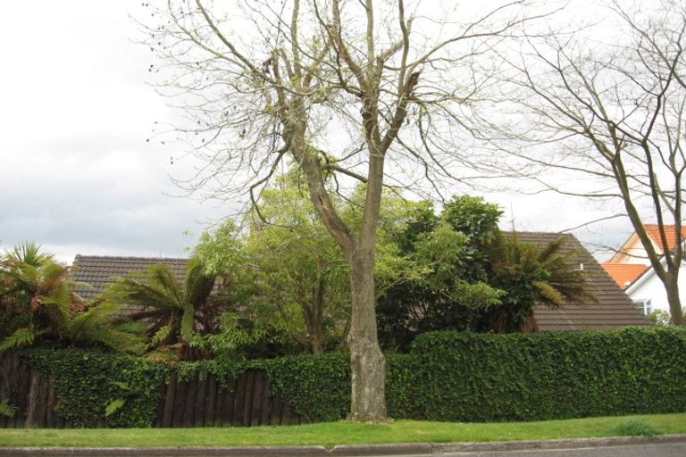 Photo of property in 5b Wylie Street, Glenholme, Rotorua, 3010