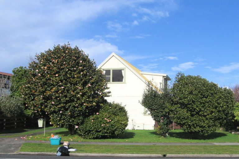 Photo of property in 97 Collins Road, Melville, Hamilton, 3206