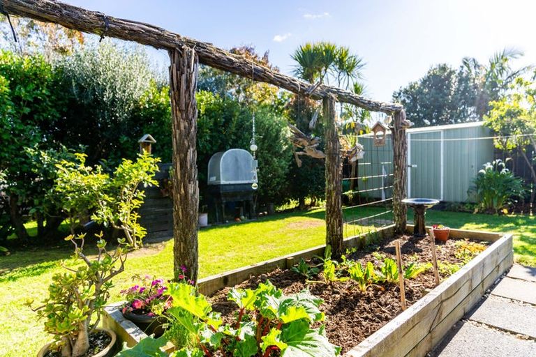 Photo of property in 37 Grove Road, Mangawhai Heads, Mangawhai, 0505