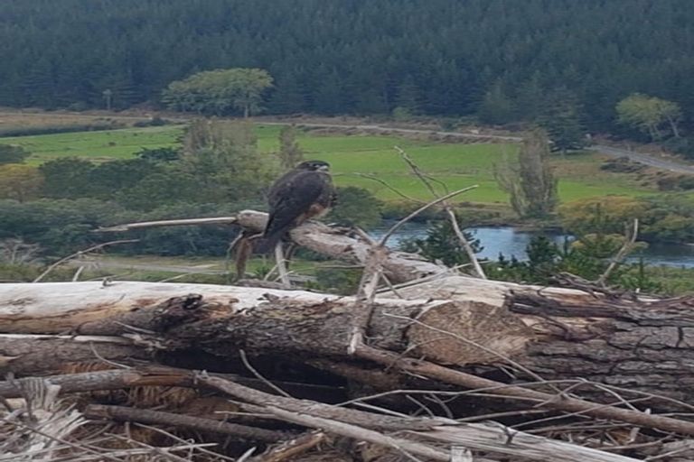 Photo of property in 990 Motueka River West Bank Road, Motueka Valley, Motueka, 7196