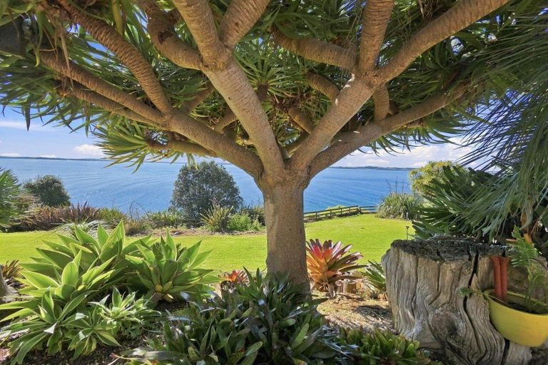 Photo of property in Signal Stn Road, Pouto, Te Kopuru, 0391