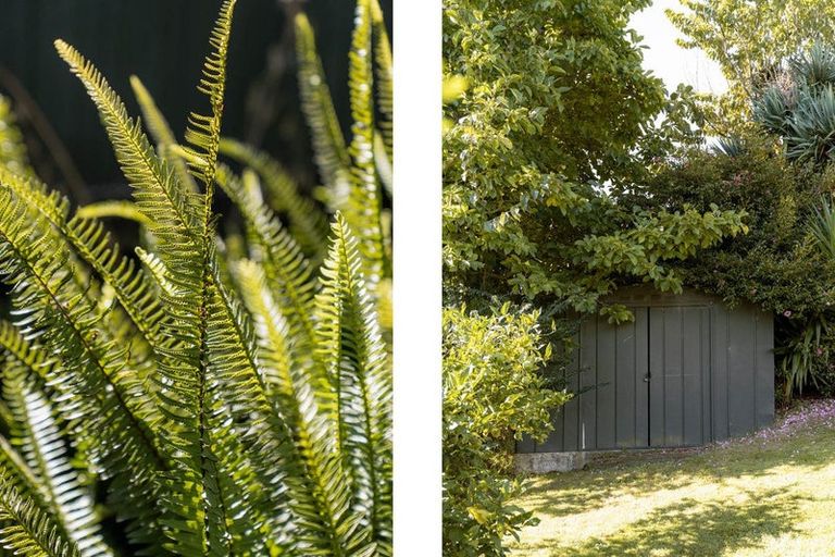 Photo of property in 23 Osprey Drive, Welcome Bay, Tauranga, 3112