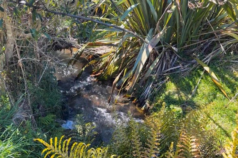 Photo of property in 459 Wainui Road, Raglan, 3297