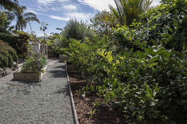 Photo of property in 6 Kaiwaka-mangawhai Road, Mangawhai, Kaiwaka, 0573