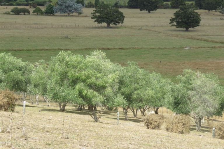 Photo of property in 28 Reservoir Road, Kaikohe, 0405