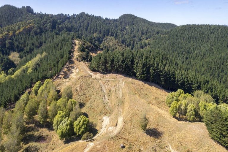 Photo of property in 196 Tinui Valley Road, Tinui Valley, Tinui, 5894