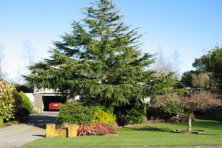 Photo of property in 66 Tutaenui Road, Marton, 4710