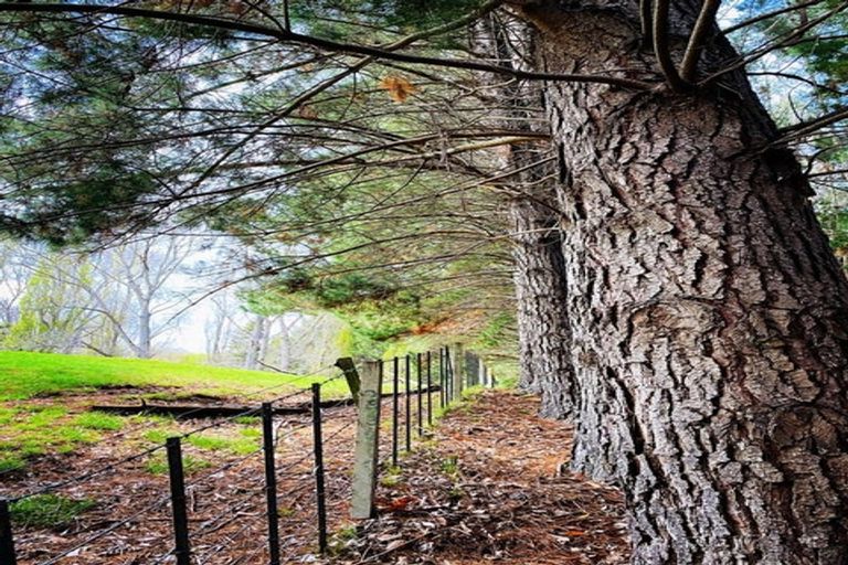 Photo of property in 399 Te Apiti Road, Waimarama, Havelock North, 4294